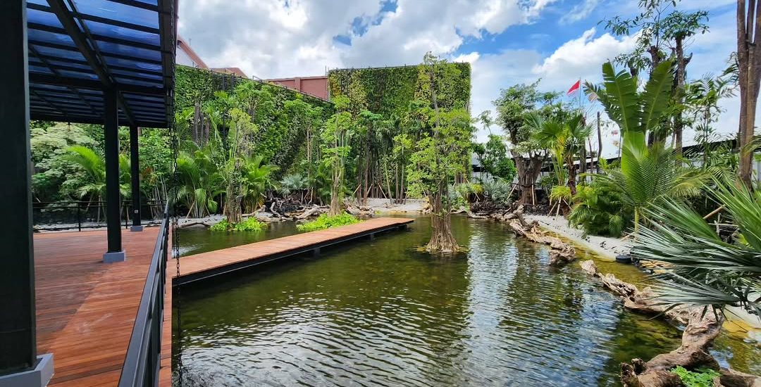 Tukang Taman Jakarta Murah dan Profesional - Taman Melisa.jpg