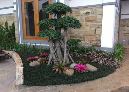 Jasa Taman dan Landscape di Cinere – Jasa Taman dan Tanam Rumput Terdekat di Cinere