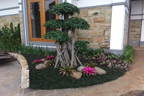 Jasa Taman dan Landscape di Cinere – Jasa Taman dan Tanam Rumput Terdekat di Cinere