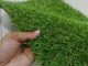 Jual Rumput Sintetis Di Bintaro Dan Jasa Pemasangan Rumput Sintetis Terdekat Di Bintaro